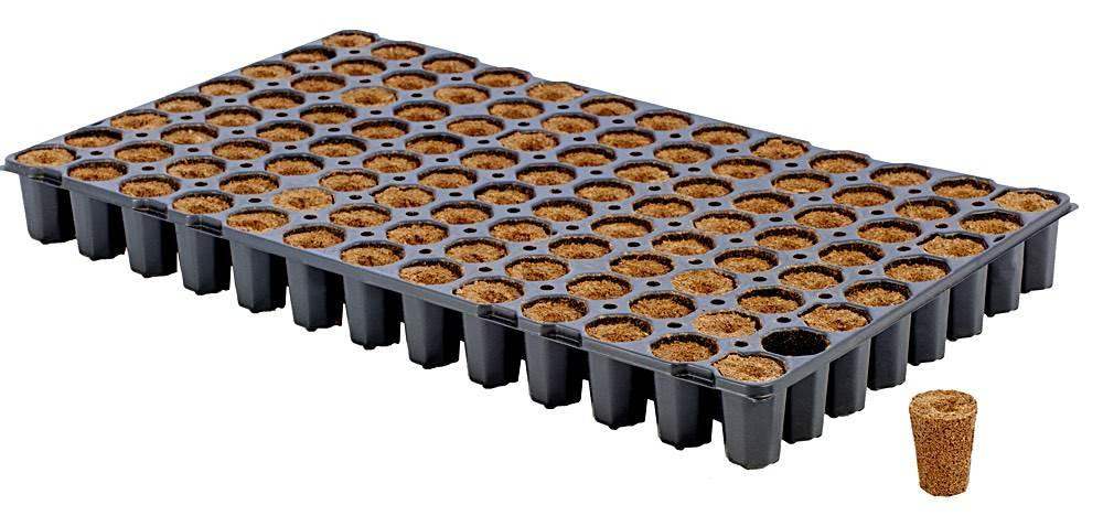 Eazy Plug rund 104C Tray - Grow Zeche Hauptbild