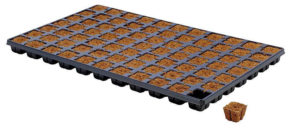 Eazy Plug 77er Tray - Grow Zeche