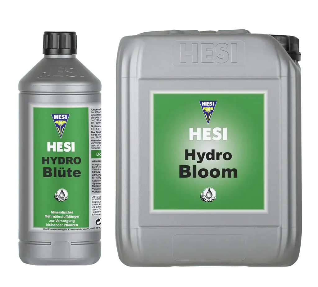 Hesi Hydro Blüte - Grow Zeche