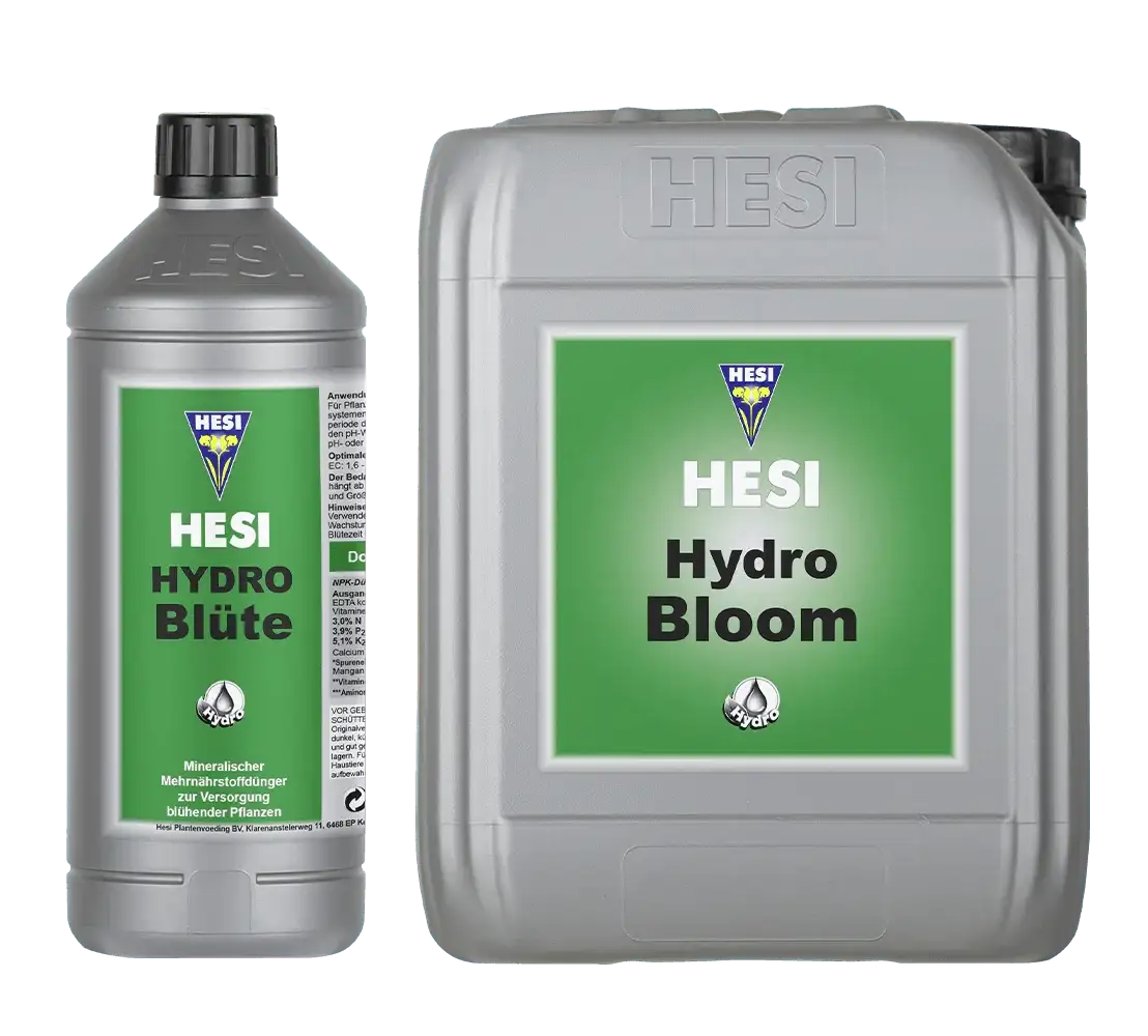 Hesi Hydro Blüte - Grow Zeche