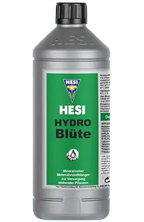 Hesi Hydro Blüte - Grow Zeche