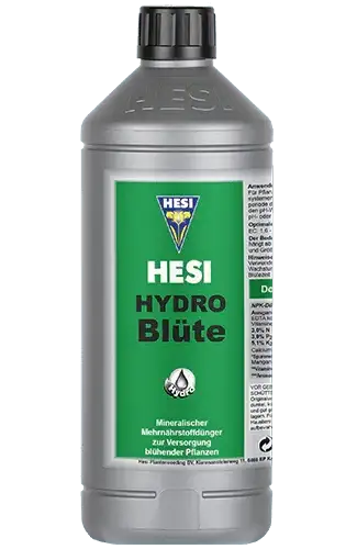 Hesi Hydro Blüte - Grow Zeche