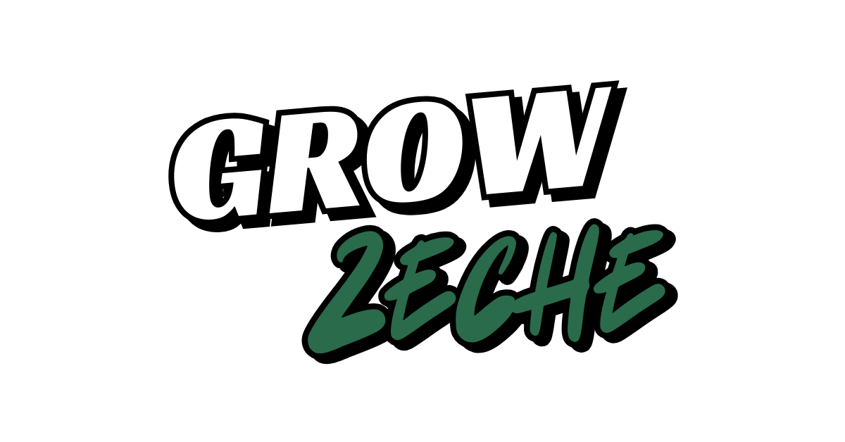 Grow Zeche