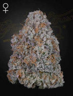 Green House Seed Co. Super Lemon Haze x RS11 Fem. 3St. - Grow Zeche