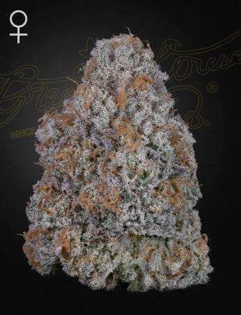 Green House Seed Co. Super Lemon Haze x RS11 Fem. 3St. - Grow Zeche