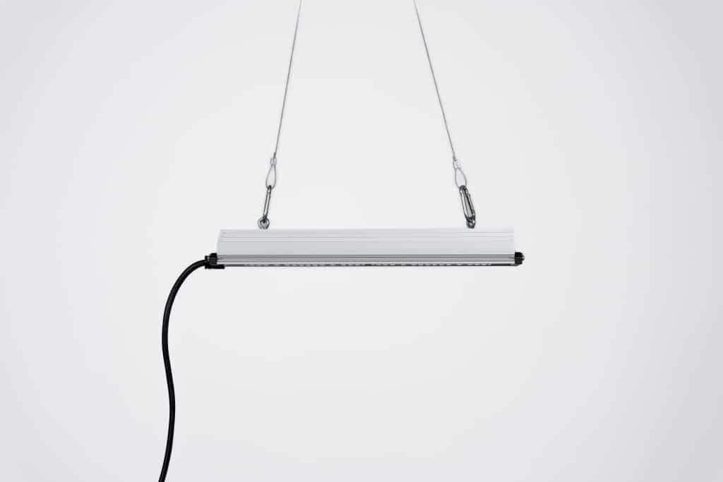 SANLight STIXX 50 - Grow Zeche