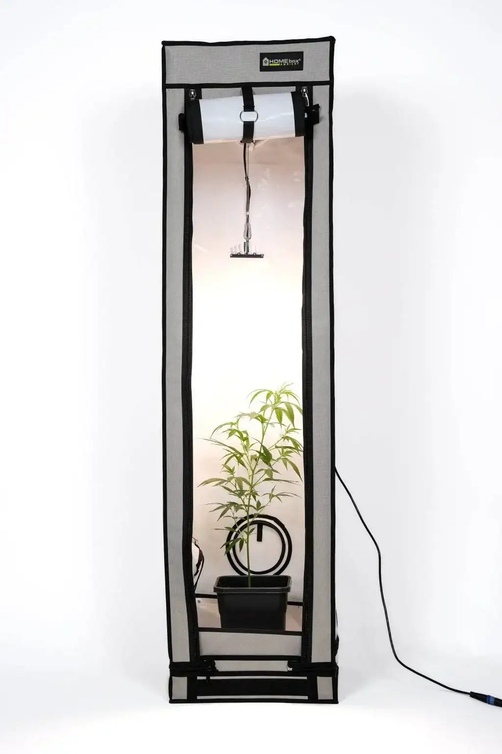 SANLight STIXX 50 - Grow Zeche