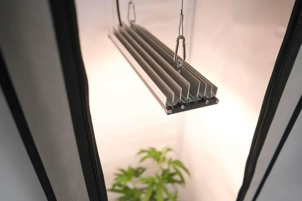 SANLight STIXX 50 - Grow Zeche