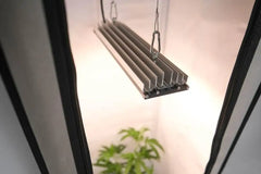 SANLight STIXX 50 - Grow Zeche