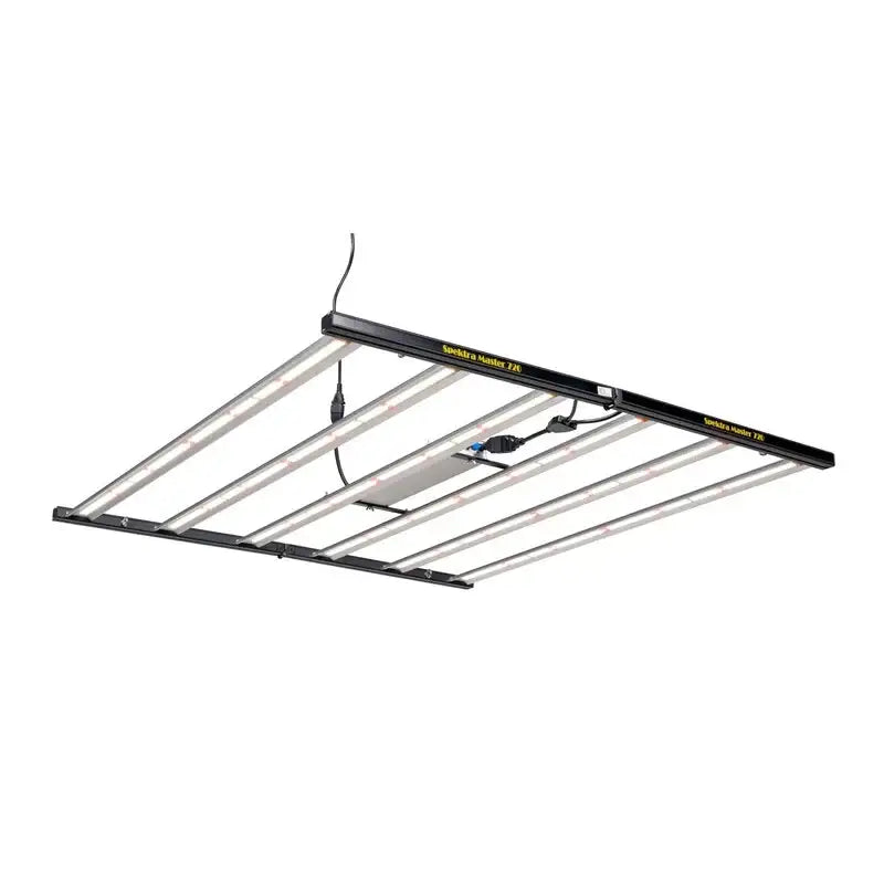 Spektra Master LED 720W – kraftvolle Vollspektrumbeleuchtung für jede Phase Hauptbild