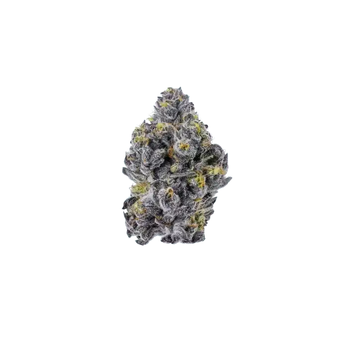 Growers Choice Triploid Sticky Wasabi Fem 3St. - Grow Zeche