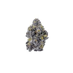 Growers Choice Triploid Sticky Wasabi Fem 3St. - Grow Zeche