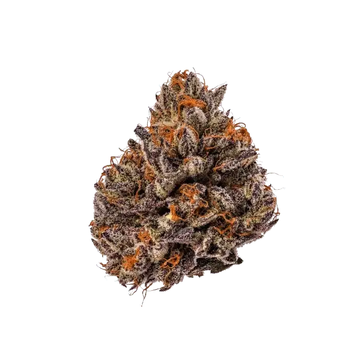 Growers Choice Triploid Tropicana Cherry Fem 3St. - Grow Zeche Hauptbild