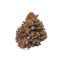 Growers Choice Triploid Tropicana Cherry Fem 3St. - Grow Zeche
